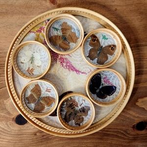 **SOLD**🩷Vintage Boho Butterfly and Bamboo Tray and Coaster Set🩷